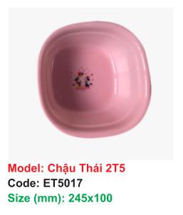Chậu thái 2T5 - Code: ET5017 - Size: 245x100