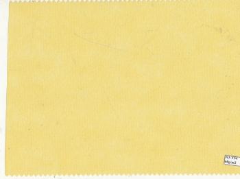 A3-Y54